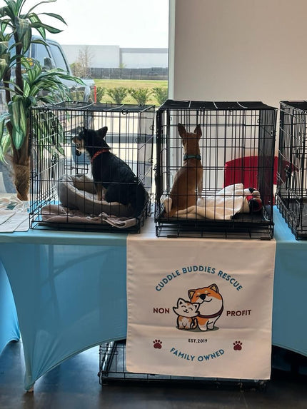 Bel Furniture’s Pet Adoption