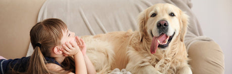 Pet and Kid-Friendly Furniture - BEL Furniture