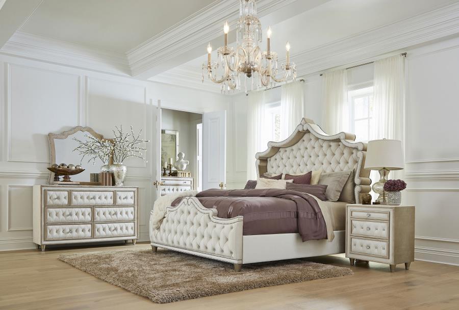 Antonella - Upholstered Panel Bed