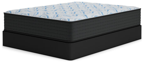 Elite Springs Firm - Mattress by Ashley Sleep® | Bel Furniture