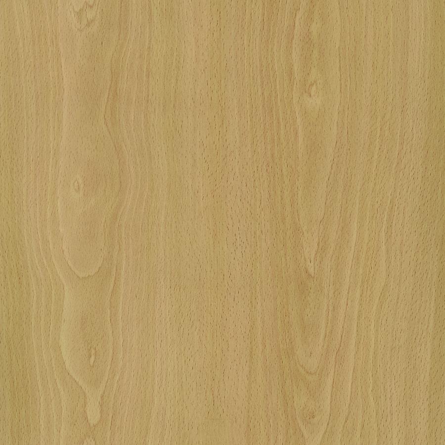 Mattison - 4-Panel Room Divider Folding Shoji Screen by Coaster Fine Furniture | Bel Furniture