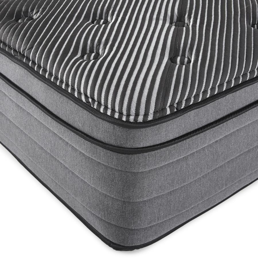 Montlake - 15" Cool Euro Top Foam Hybrid Mattress by Coaster Fine Furniture | Bel Furniture