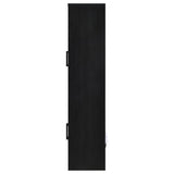 Riva - 4-Door Tall Accent Display Cabinet LED Lighting - Black