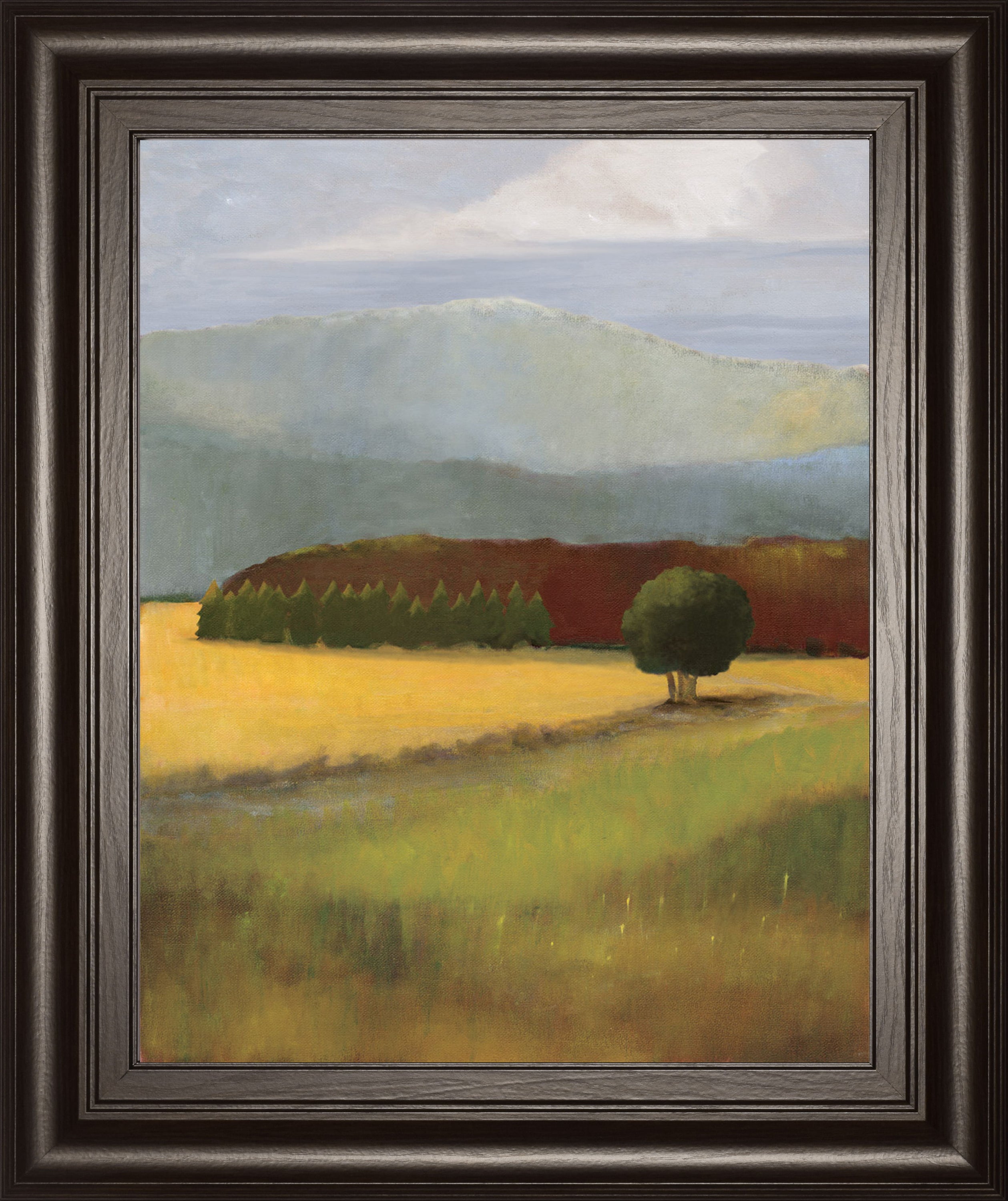 Field Of Gold By Judith D'agostino - Framed Print Wall Art - Green