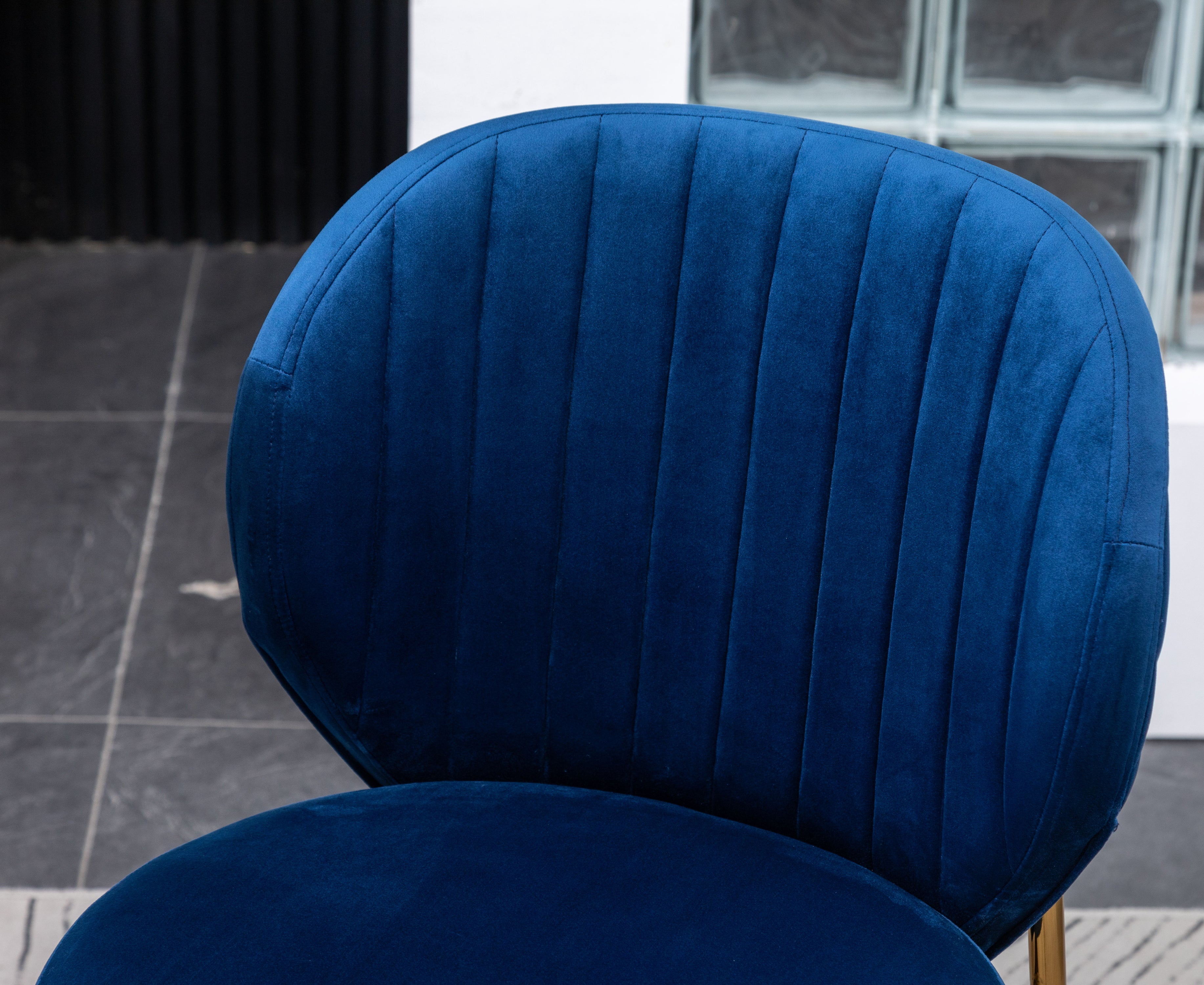 Amoa - Contemporary Velvet Upholstery Dining Chair - Blue