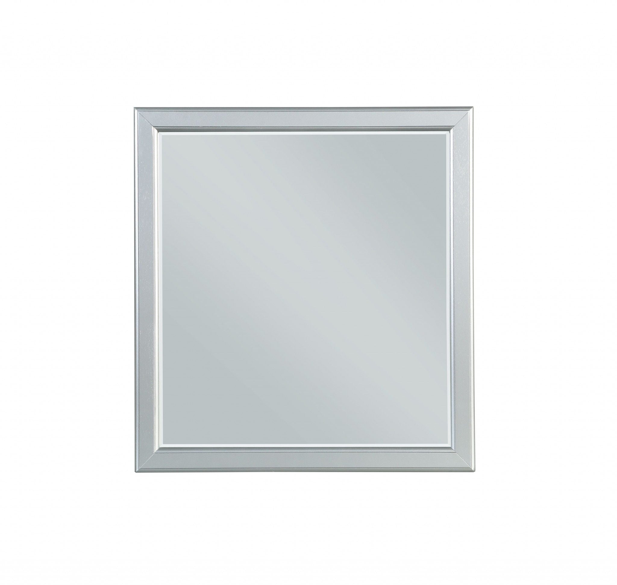 38" Rectangle Wall Mounted Accent Mirror - Silver