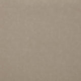 Brentwood - Upholstered Reclining Sofa Set by Coaster Fine Furniture | Bel Furniture