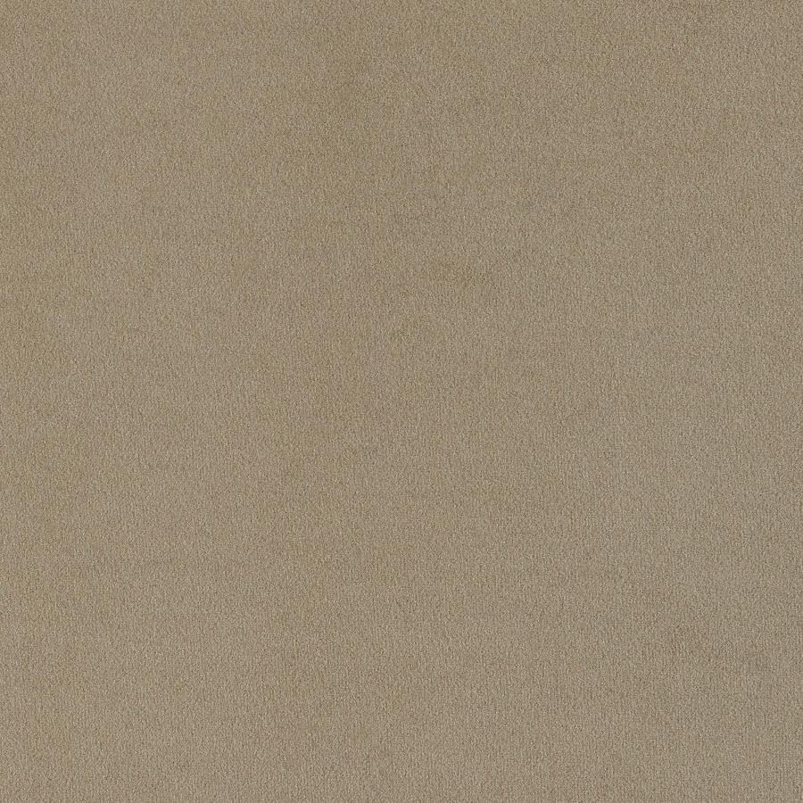 Rainn - Boucle Upholstered Sloped Arm Sofa - Latte by CoasterEssence | Bel Furniture