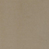 Rainn - Boucle Upholstered Sloped Arm Sofa - Latte by CoasterEssence | Bel Furniture