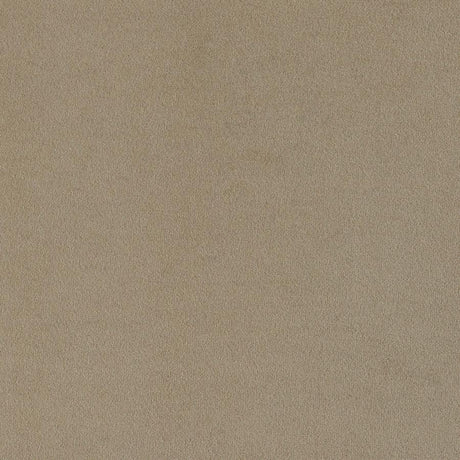 Rainn - Boucle Upholstered Sloped Arm Sofa - Latte by CoasterEssence | Bel Furniture