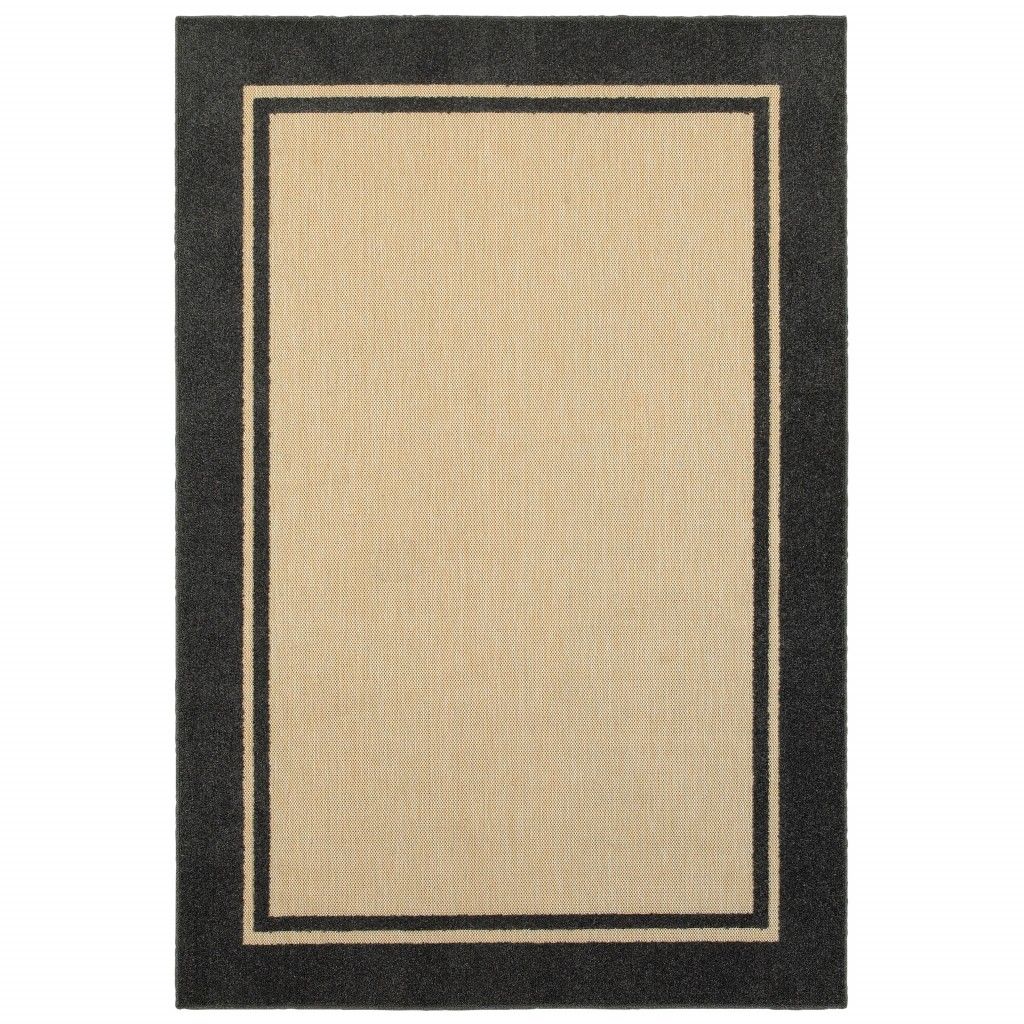 4' X 5' Indoor / Outdoor Area Rug - Beige / Black