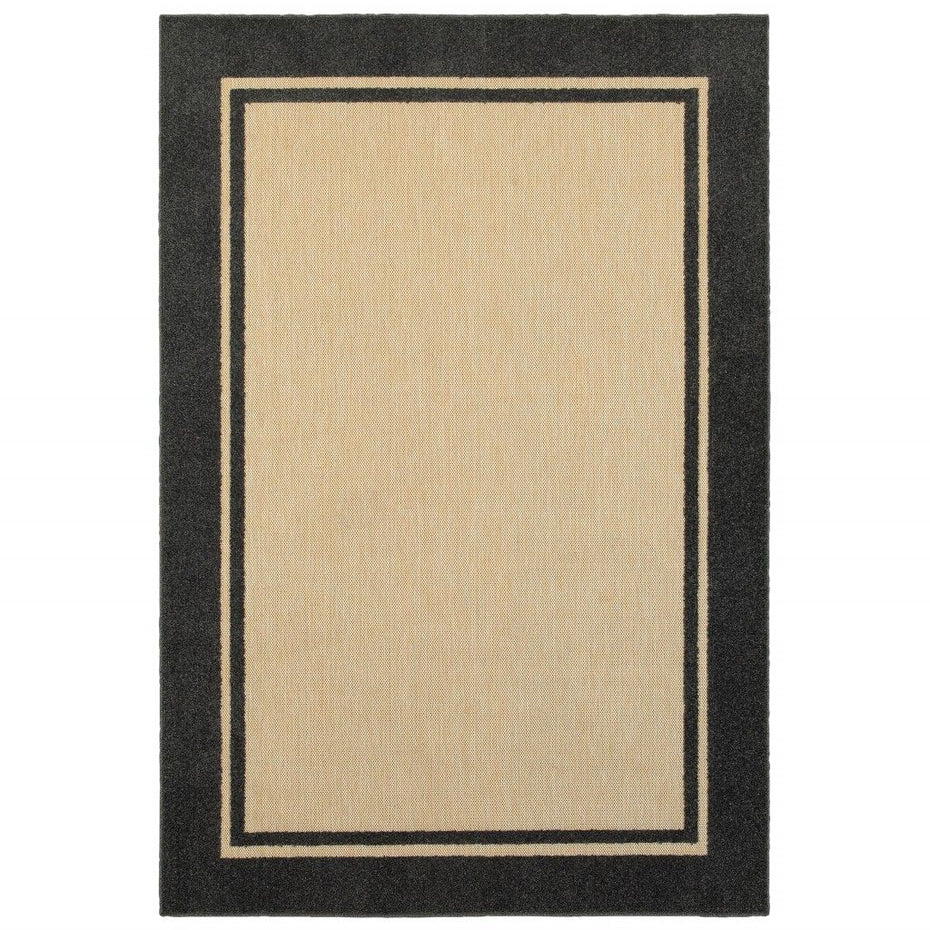 4' X 5' Indoor / Outdoor Area Rug - Beige / Black