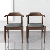 Daisy - Mid-Century Modern Dining Chair (Set of 2)