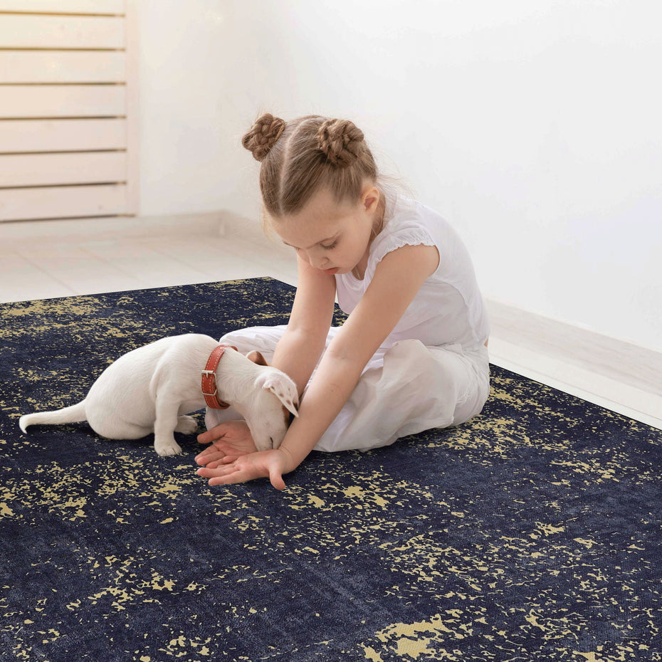 3' x 5' Area Rug, Washable, Low-Pile, Non-Slip, Non-Shedding, Foldable, Kid & Pet Friendly - Black / Gold