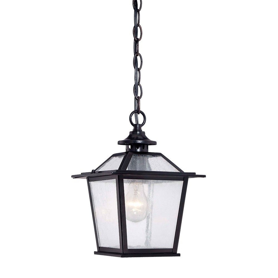 Terrarium Shape Hanging Light - Matte Black