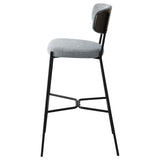 Elison Pub Height Bar Stool (Set of 2)