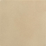 Alexis - Fabric Upholstered Dining Arm Chair (Set of 2)