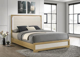 Hyland - Panel Bed LED Headboard by Coaster Fine Furniture | Bel Furniture