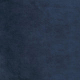 Cisco - Velvet Upholstered Dining Side Chair (Set of 2)