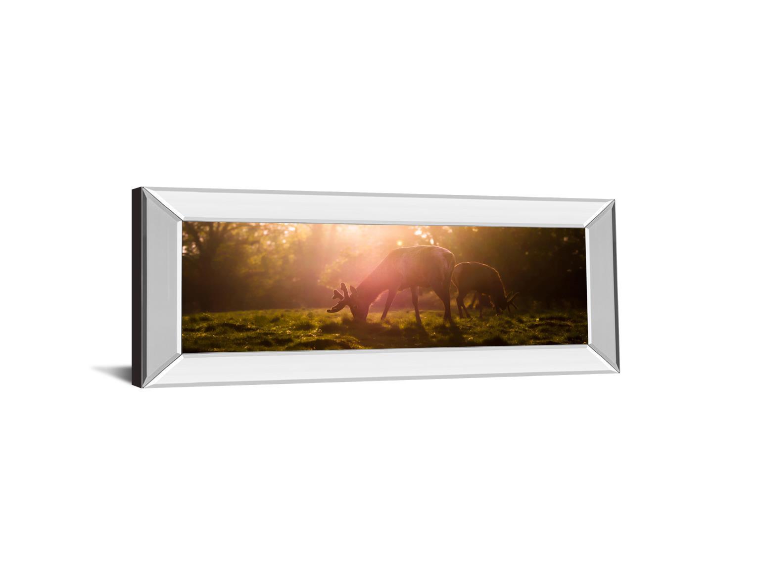 Morning Haze By Joe Reynolds - Photo Print Wall Art - Dark Brown