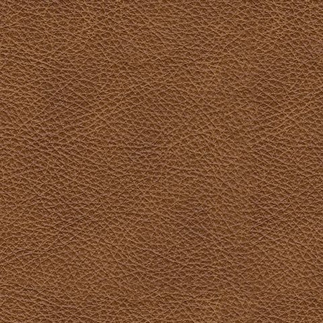 Carianna - Caramel - Queen Sofa Sleeper by Signature Design by Ashley® | Bel Furniture