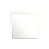 Burlington - Modern Design Transitional Wall Mirror