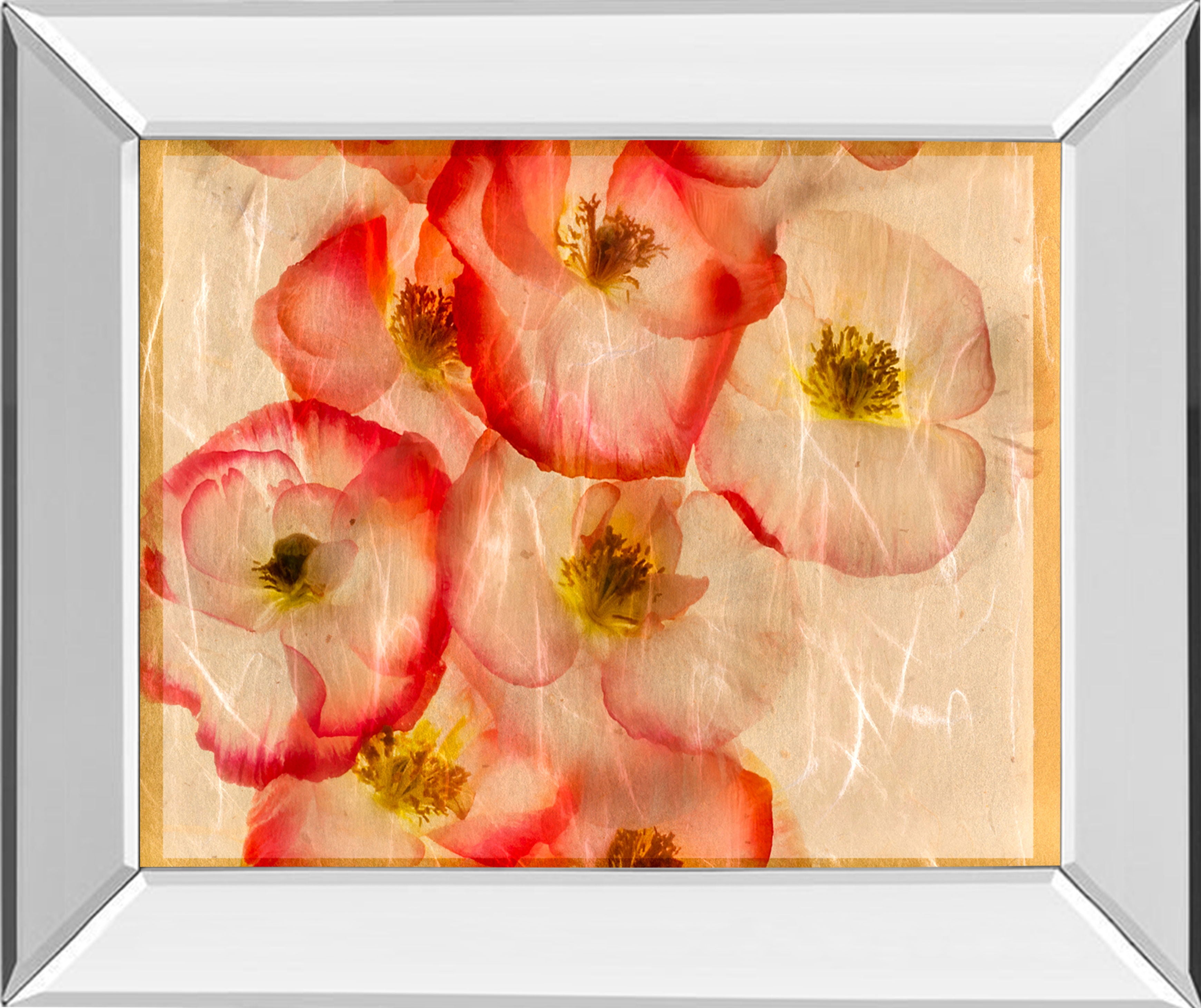 Papaver Dreams III By Harold Davis - Mirror Framed Print Wall Art - Red