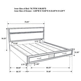 Miranda - Storage Wood Panel Bed