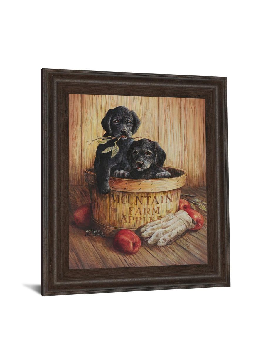 Black Labs - Framed Print Wall Art - Dark Brown