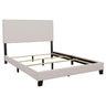 Boyd - Upholstered Panel Bed Beige Full by CoasterEveryday | Bel Furniture
