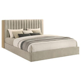 Arielle - Bookcase Panel Storage Bed