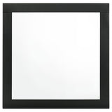 Caraway - Dresser Mirror