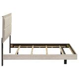 Trenton - Wood Panel Bed