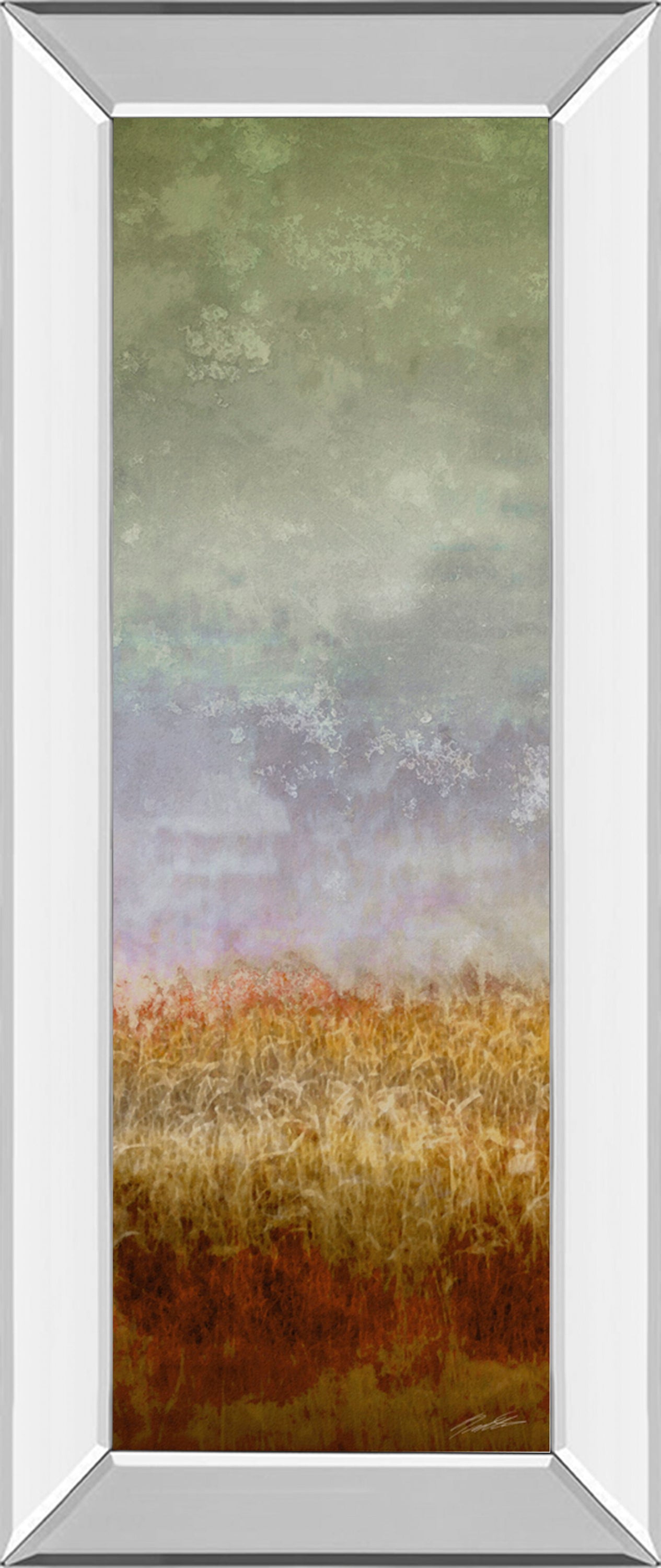 Lush Field Il By John Butler - Mirror Framed Print Wall Art - Dark Gray