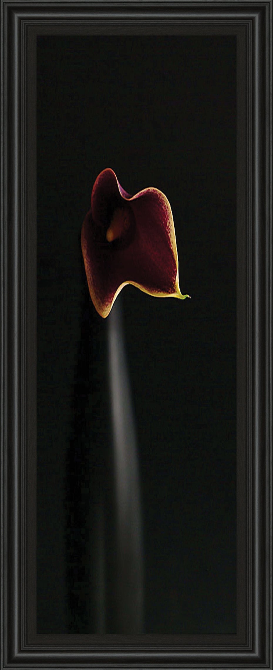 Calla In Ebony By Steven Mitchell - Framed Print Wall Art - Black