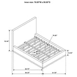 Knox - Upholstered Platform Bed by Coaster Fine Furniture | Bel Furniture