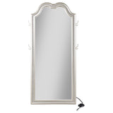 Evangeline - Full Length LED Light Floor Mirror - Silver Oak by Coaster Fine Furniture | Bel Furniture