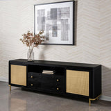 Arini - Rattan Cane 2-Door TV Stand Media Console by Coaster Fine Furniture | Bel Furniture