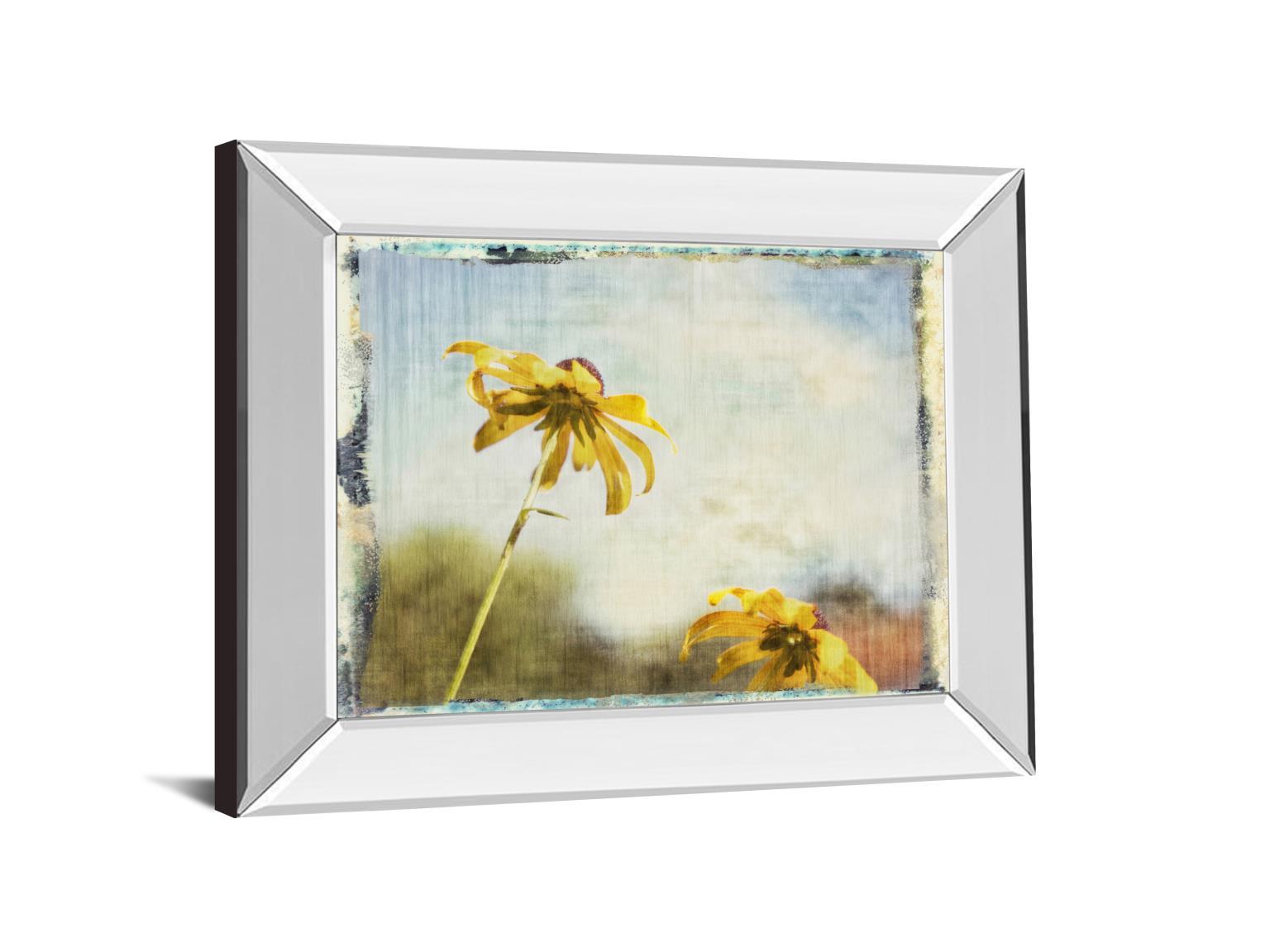 Blackeyed Susan Il By Meghan Mcsweeney - Mirror Framed Print Wall Art - Yellow