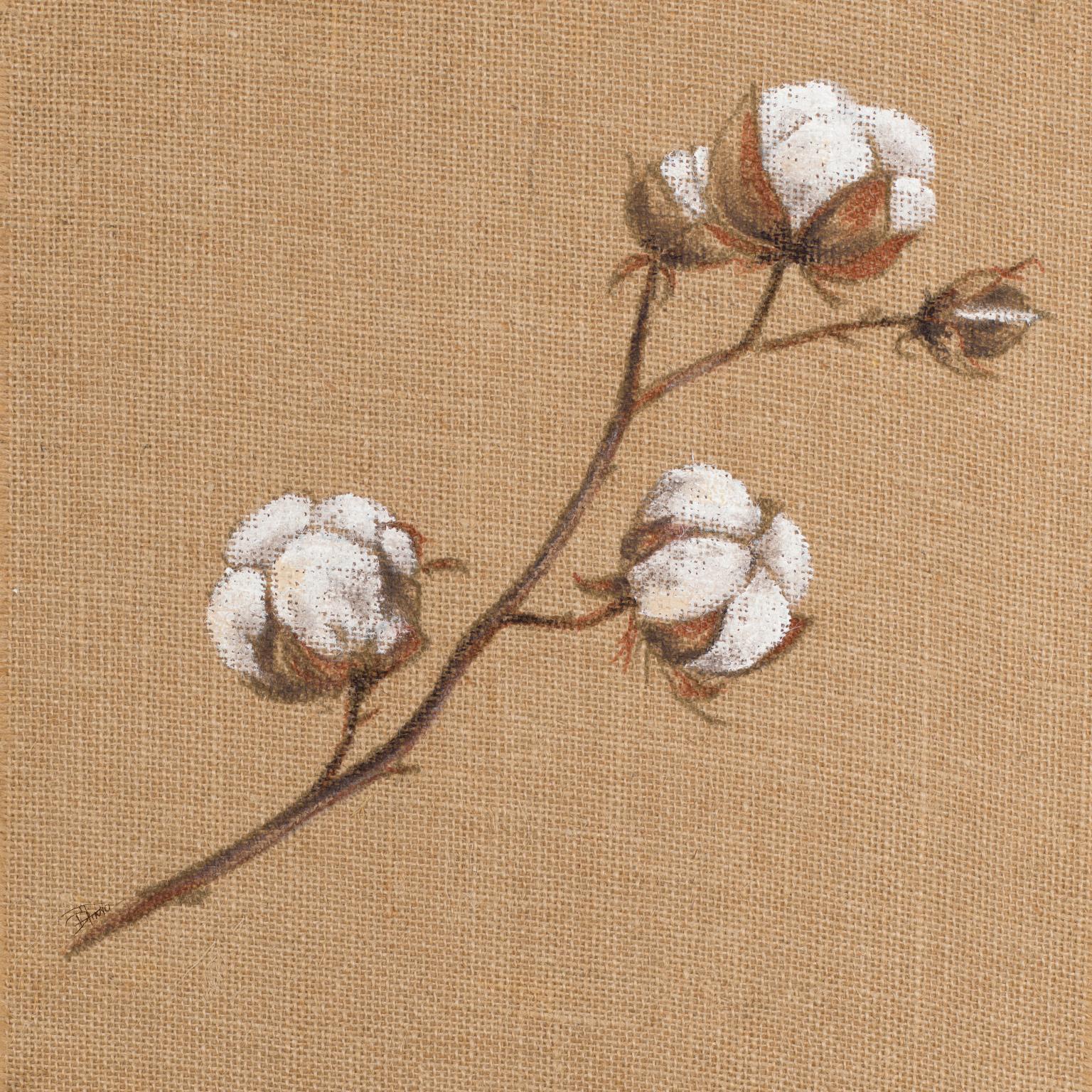 Cotton Branch I By Patricia Pinto - Light Brown