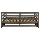 Sorrento - 2-Drawer Twin Long Daybed With Extension Trundle - Gray