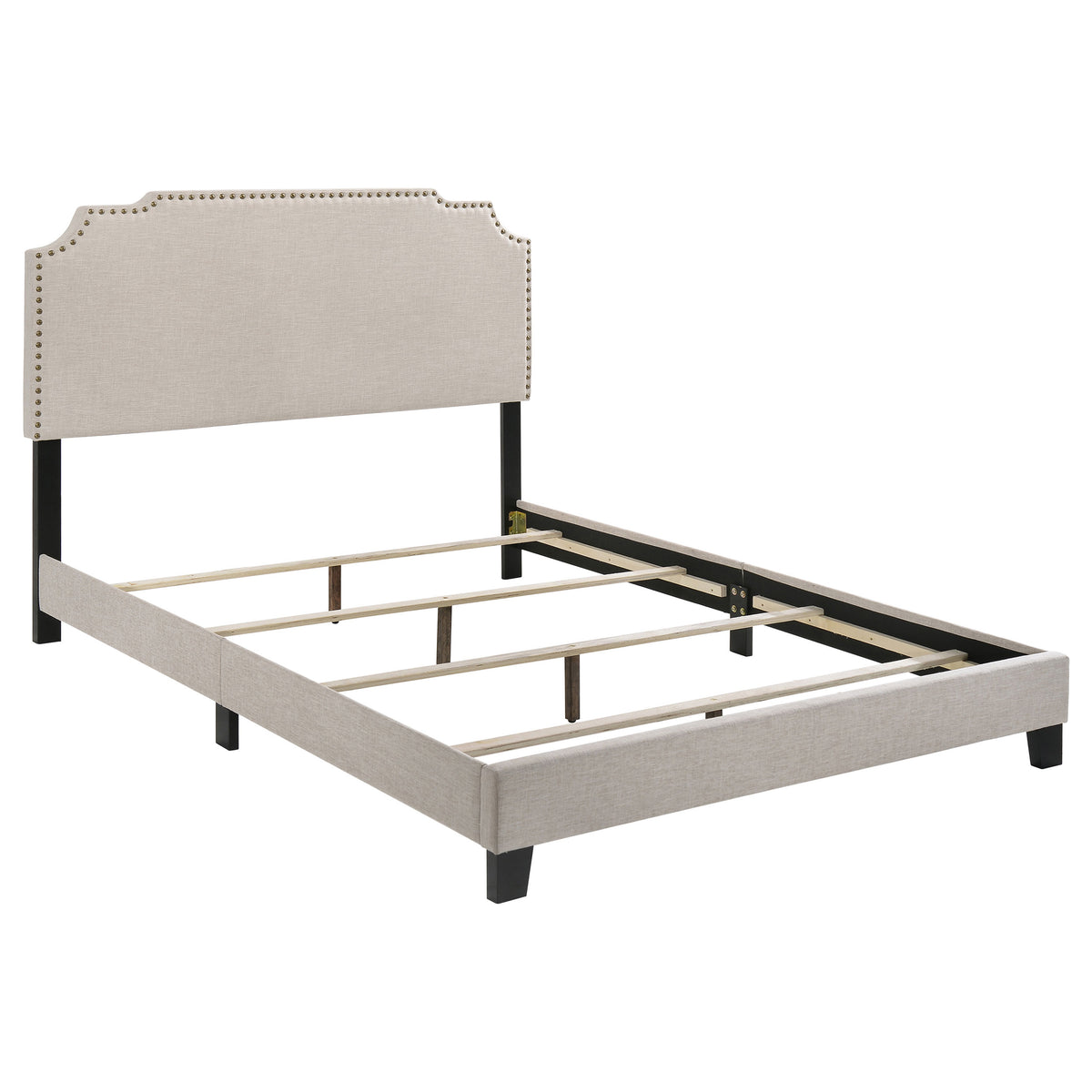 Tamarac - Upholstered Panel Bed