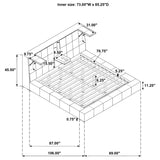 Dreux - Upholstered Panel Platform Bed