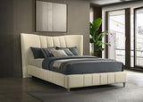 Evelyn - Upholstered Panel Platform Bed