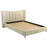 Evelyn - Upholstered Panel Platform Bed