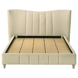 Evelyn - Upholstered Panel Platform Bed