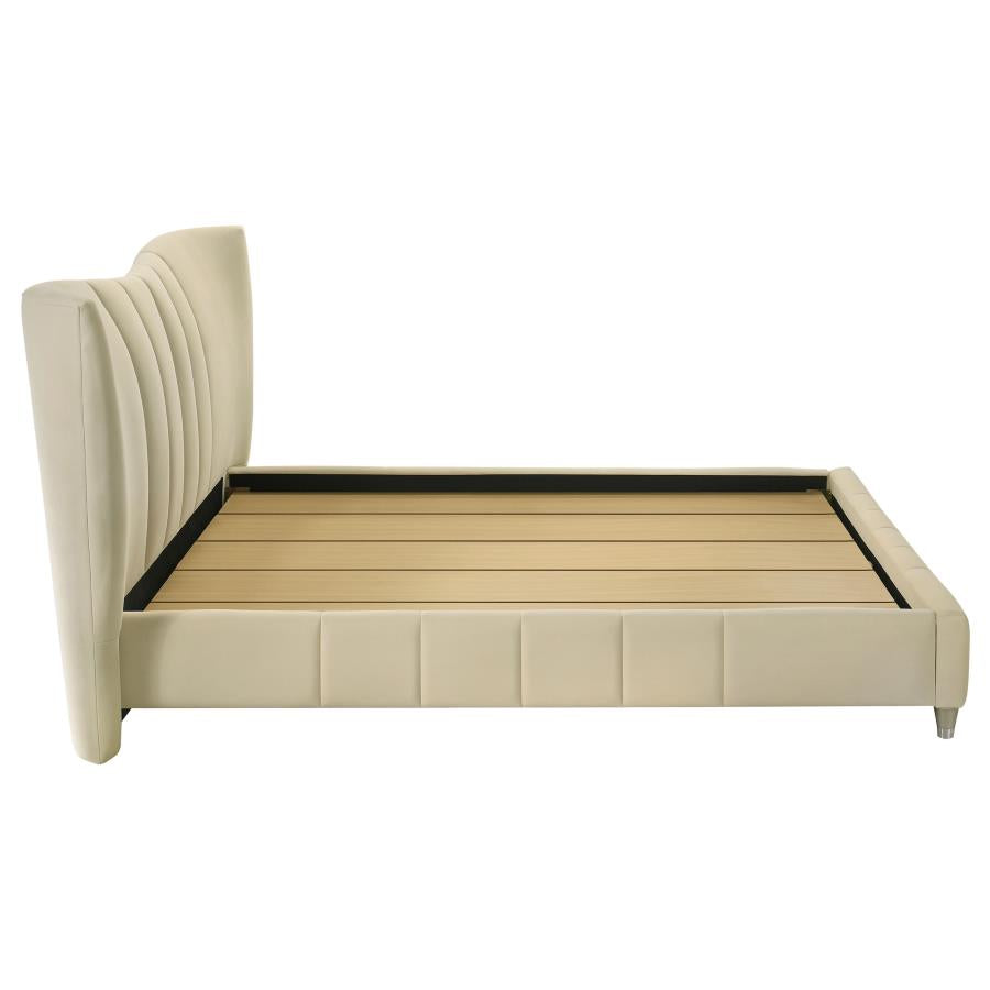 Evelyn - Upholstered Panel Platform Bed