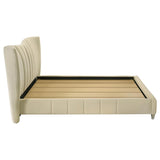 Evelyn - Upholstered Panel Platform Bed
