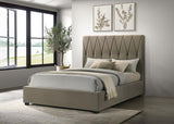 Delsea - Upholstered Platform Bed