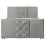 Tara - Upholstered Panel TV Bed